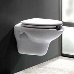 Inodoro Prestowash basic suspendido con tapa asiento Presto Equip