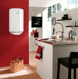 Termo Thermor concept vertical 80 L 1500 w