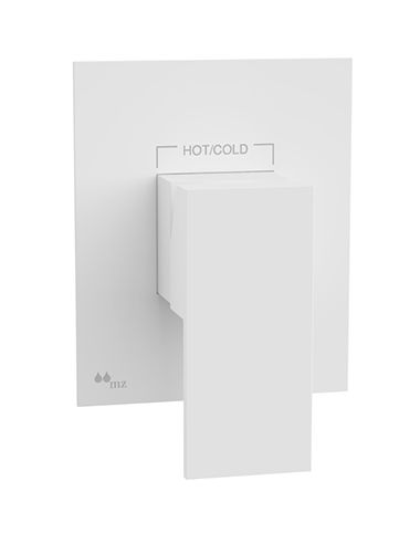 TRIM DUCHA EMPOTRADA 1 SALIDA PLAFON SOLIDO