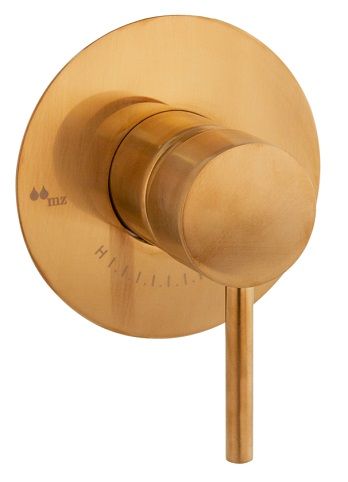 TRIM DUCHA EMPOTRADA 1 SALIDA PLAFON