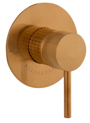 TRIM DUCHA EMPOTRADA 1 SALIDA PLAFON SOLIDO