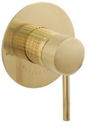 TRIM DUCHA EMPOTRADA 1 SALIDA PLAFON SOLIDO