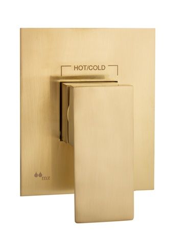 TRIM DUCHA EMPOTRADA 1 SALIDA PLAFON SOLIDO